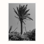 Load image into Gallery viewer, PAROS PALM II
