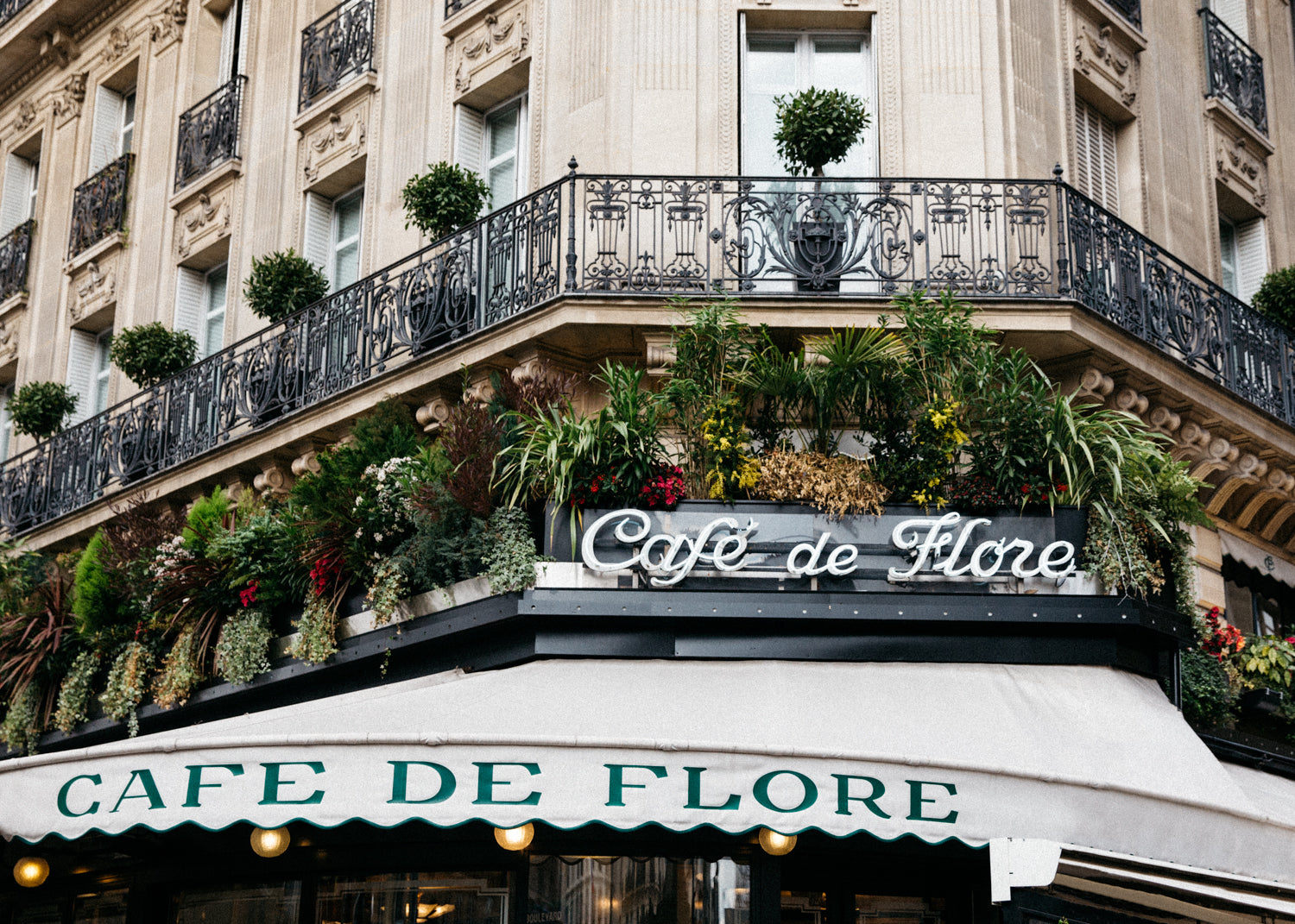 CAFE DE FLORE DETAIL