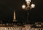 Load image into Gallery viewer, MIDNIGHT IN PARIS
